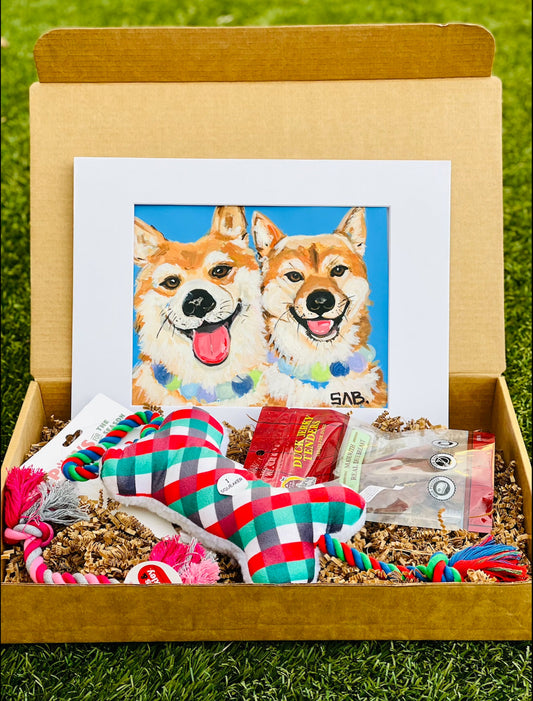 Acrylic Portrait Pet Gift Box custom pet stickers Toy treat surprise christmas  birthday  holiday fun gifts unique ideas